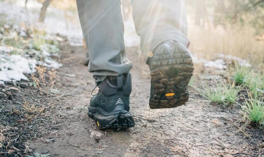 The Best Hiking Shoes and Boots of 2023