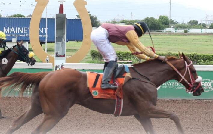 Lewis boots home 4 winners, captures SVL trophy race on I Am Fred